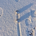 Boules