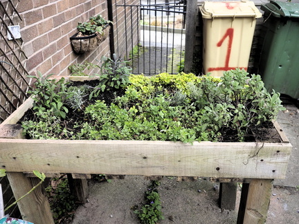 Herb garden