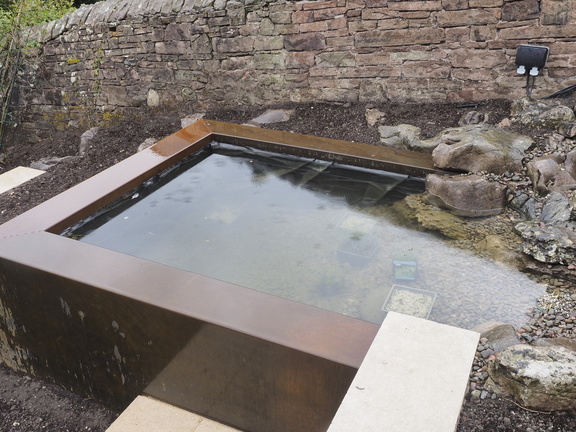 Pond