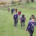 Walkers