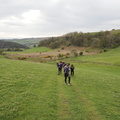 Walkers