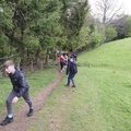 Walkers